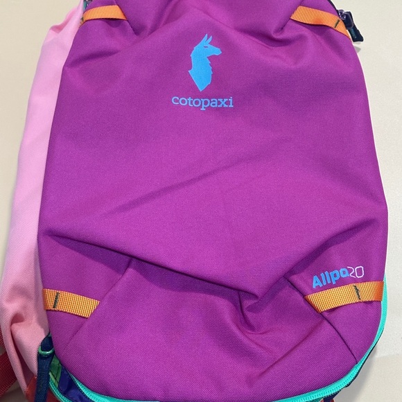 Cotopaxi Allpa 20L Backpack - Purple and Pink - Picture 1 of 4